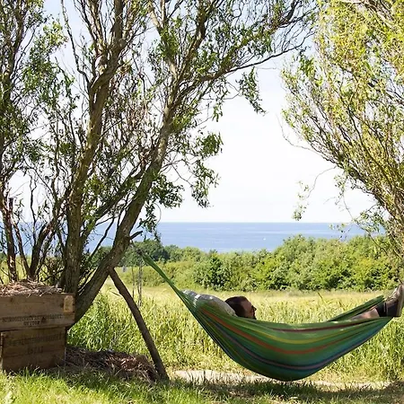 Close To The Sea And Nature *